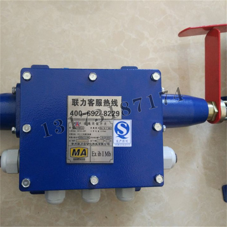 KG9001A-Z拉繩閉鎖開關(guān)|常州聯(lián)力自動化科技有限公司