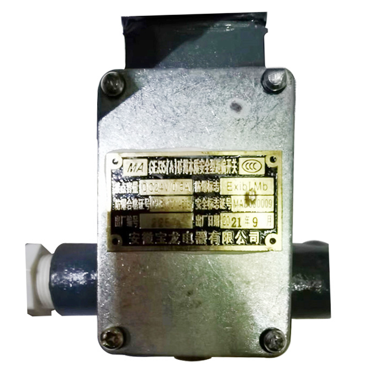 GEJ35(C)跑偏開關(guān)|安徽寶龍電器有限公司