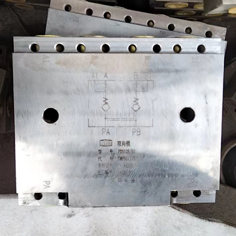 FDS80/50(A)雙向鎖-北京天地瑪珂電液控制系統(tǒng)有限公司