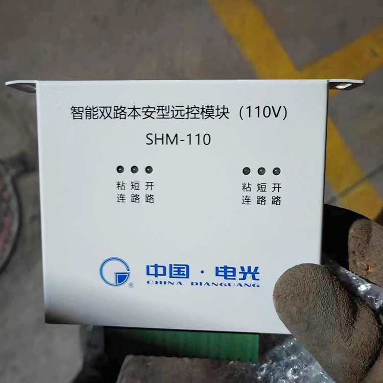 SHM-110智能雙路本安型遠(yuǎn)控模塊(110V)-電光防爆科技股份有限公司