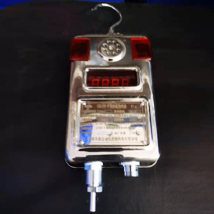 GWD100礦用溫度傳感器-上海埃意自動(dòng)控制有限公司