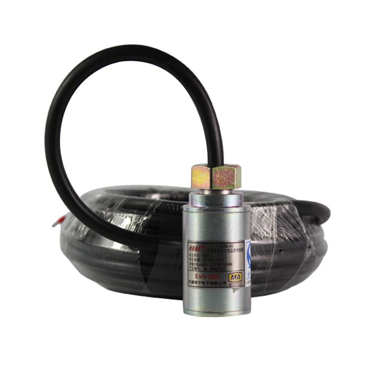 天津華寧GWM-45礦用本質(zhì)安全型溫度傳感器_天津華寧電子有限公司